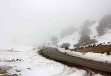 گزارش تصویری از یک روز برفی در شاهرود